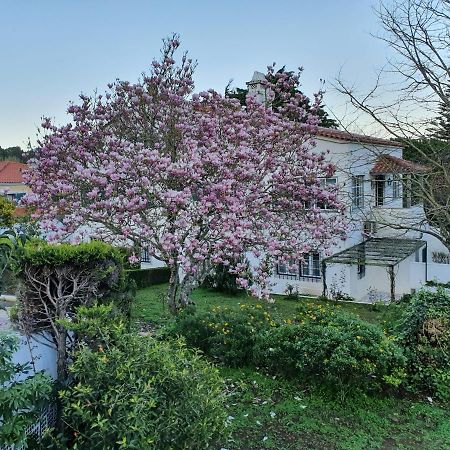 Comfy Sintra Bed and Breakfast Exterior foto