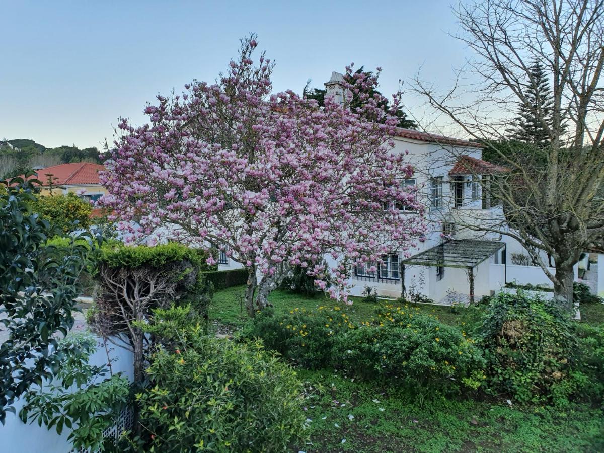 Comfy Sintra Bed and Breakfast Exterior foto