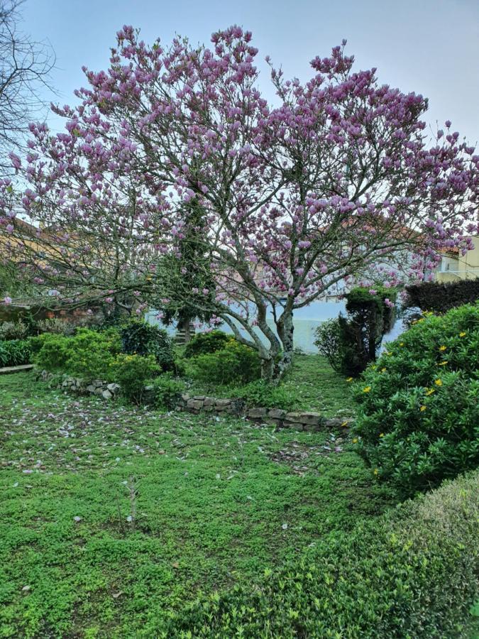 Comfy Sintra Bed and Breakfast Exterior foto