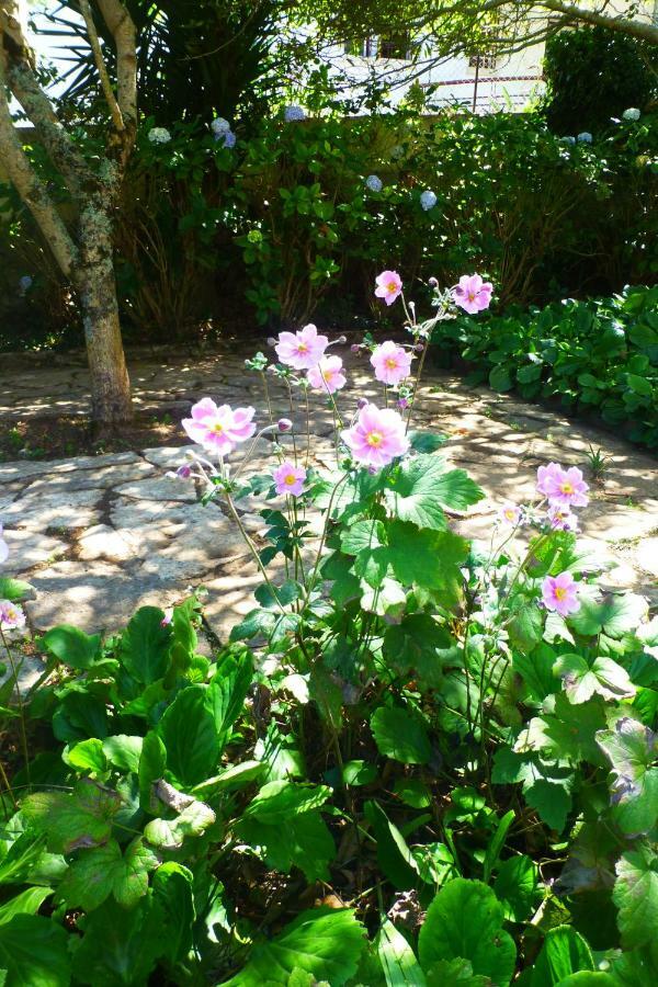 Comfy Sintra Bed and Breakfast Exterior foto