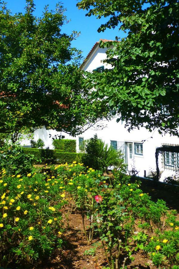 Comfy Sintra Bed and Breakfast Exterior foto